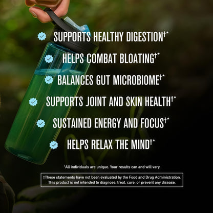 ROUNDHOUSE PROVISION Morning Kick Greens, Strawberry Lemonade, 30 Servings Greens Superfood Powder for Gut Health, Sugar Free, Caffeine Free, Ashwagandha, Collagen Peptides, Probiotics, Chuck Norris